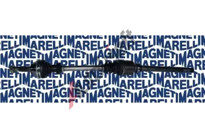 MAGNETI MARELLI Hnac hdel MAG 302004190038, 302004190038
