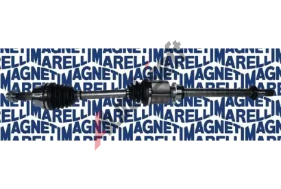 MAGNETI MARELLI Hnac hdel MAG 302004190048, 302004190048