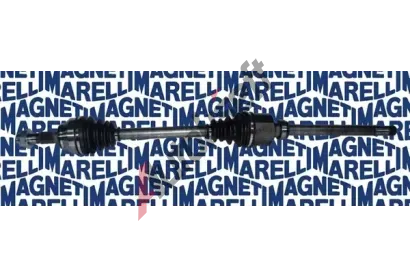 MAGNETI MARELLI Hnac hdel MAG 302004190050, 302004190050