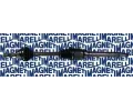 MAGNETI MARELLI Hnac hdel ‐ MAG 302004190056