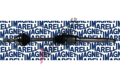 MAGNETI MARELLI Hnac hdel MAG 302004190056, 302004190056