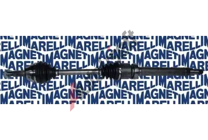 MAGNETI MARELLI Hnac hdel MAG 302004190058, 302004190058