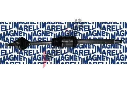 MAGNETI MARELLI Hnac hdel MAG 302004190074, 302004190074