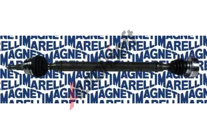 MAGNETI MARELLI Hnac hdel MAG 302004190106, 302004190106