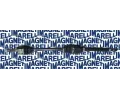 Hnac hdel MAGNETI MARELLI ‐ MAG 302004190115
