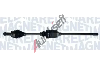 MAGNETI MARELLI Hnac hdel MAG 302004190131, 302004190131