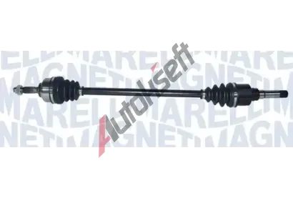 MAGNETI MARELLI Hnac hdel MAG 302004190146, 302004190146