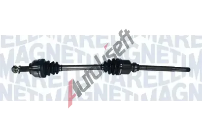 MAGNETI MARELLI Hnac hdel MAG 302004190156, 302004190156