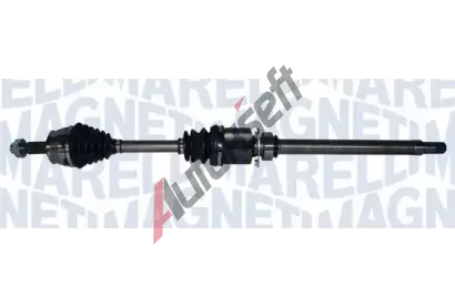 MAGNETI MARELLI Hnac hdel MAG 302004190164, 302004190164