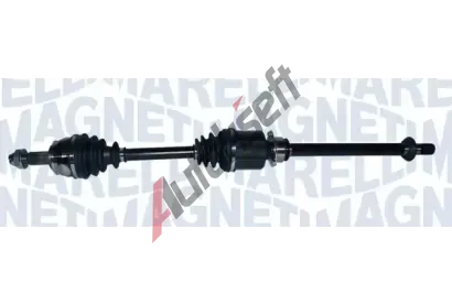 MAGNETI MARELLI Hnac hdel MAG 302004190166, 302004190166