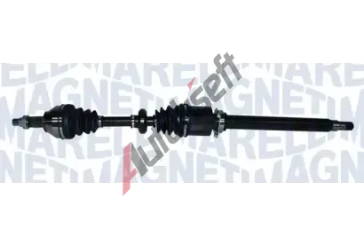 MAGNETI MARELLI Hnac hdel MAG 302004190167, 302004190167