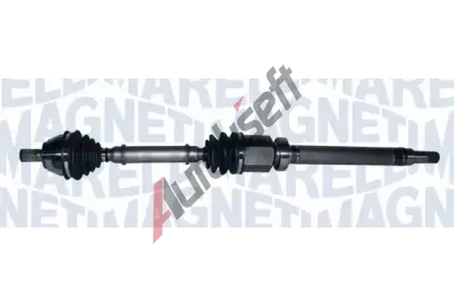 MAGNETI MARELLI Hnac hdel MAG 302004190170, 302004190170