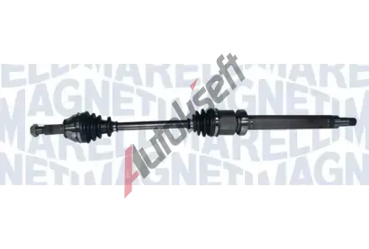MAGNETI MARELLI Hnac hdel MAG 302004190172, 302004190172