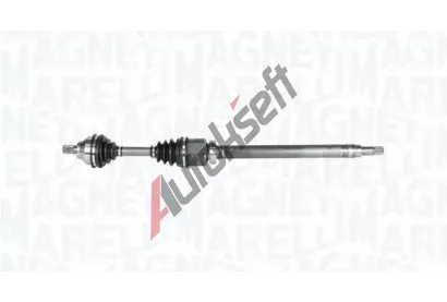 MAGNETI MARELLI Hnac hdel MAG 302004190179, 302004190179