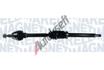 MAGNETI MARELLI Hnac hdel MAG 302004190182, 302004190182