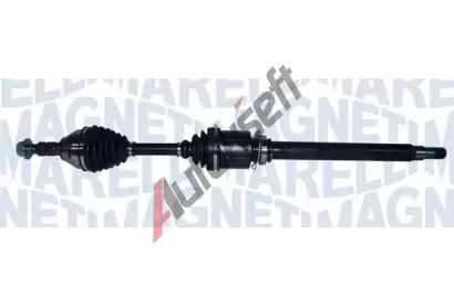 MAGNETI MARELLI Hnac hdel MAG 302004190194, 302004190194