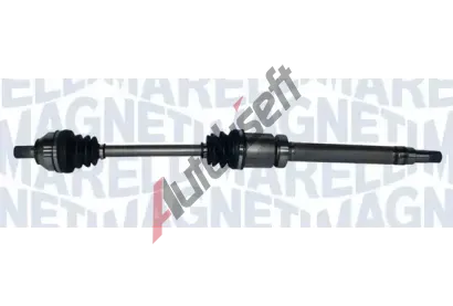 MAGNETI MARELLI Hnac hdel MAG 302004190201, 302004190201