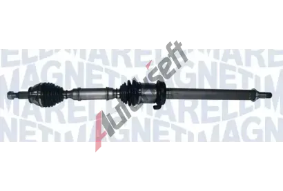 MAGNETI MARELLI Hnac hdel MAG 302004190204, 302004190204