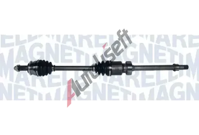 MAGNETI MARELLI Hnac hdel MAG 302004190207, 302004190207