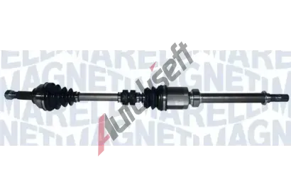 MAGNETI MARELLI Hnac hdel MAG 302004190216, 302004190216