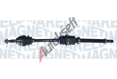 MAGNETI MARELLI Hnac hdel MAG 302004190243, 302004190243