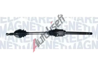 MAGNETI MARELLI Hnac hdel MAG 302004190248, 302004190248