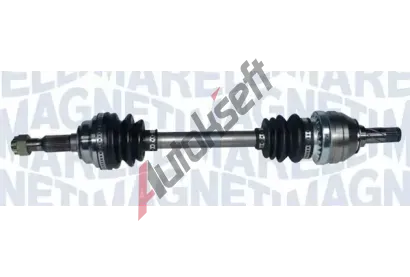 MAGNETI MARELLI Hnac hdel MAG 302004190273, 302004190273