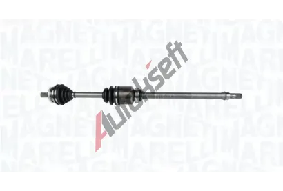 MAGNETI MARELLI Hnac hdel MAG 302004190295, 302004190295