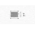 MAGNETI MARELLI Kondenztor klimatizace MAG 350203778000, 350203778000