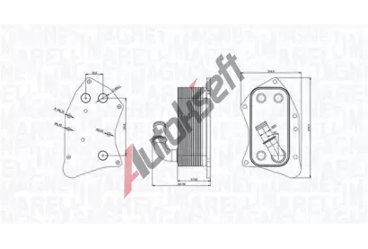 MAGNETI MARELLI Chladi oleje MAG 350300002300, 350300002300