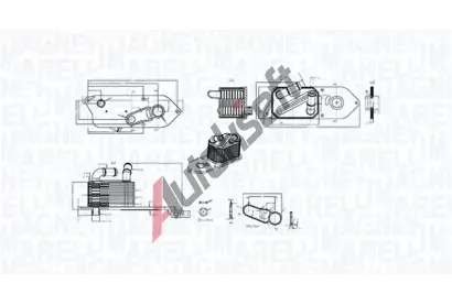 MAGNETI MARELLI Chladič oleje MAG 350300006800, 350300006800 MAGNETI MARELLI Chladič oleje MAG 350300006800, 350300006800