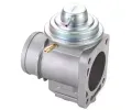 AGR ventil MAGNETI MARELLI ‐ MAG 571822112087