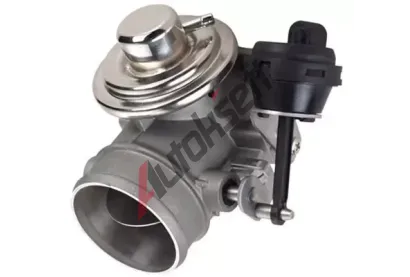 MAGNETI MARELLI AGR ventil MAG 571822112151, 571822112151