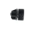 MAHLE Vnitn ventiltor MAO AB 245 000P, AB 245 000P