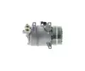 MAHLE Kompresor klimatizace MAO ACP 1320 000P, ACP 1320 000P