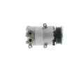 MAHLE Kompresor klimatizace MAO ACP 310 000P, ACP 310 000P