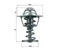 MAHLE Termostat chladiva&nbsp;&dash;&nbsp;MAO TX 126 82D