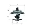 Termostat chladiva MAHLE ‐ MAO TX 23 83D
