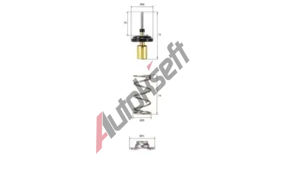 MAHLE Termostat chladiva MAO TX 257 82D, TX 257 82D MAHLE Termostat chladiva MAO TX 257 82D, TX 257 82D