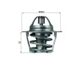 Termostat chladiva MAHLE ‐ MAO TX 61 83