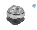 MEYLE Zaven motoru MEYLE-ORIGINAL Quality ME 014 024 0161, 014 024 0161