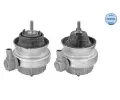 MEYLE Zaven motoru MEYLE-ORIGINAL Quality ME 100 199 3000/S, 100 199 3000/S