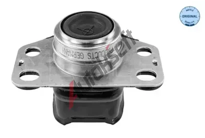 MEYLE Zaven motoru ME 16-14 043 4370, 16-14 043 4370