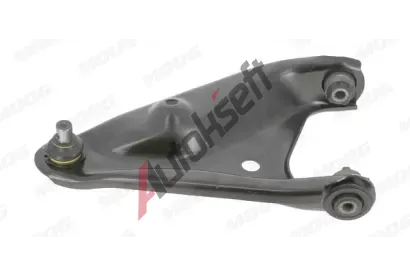 MOOG Rameno zaven kol MG RE-WP-13608, RE-WP-13608