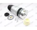MONROE Vzduchov� pru�ina podvozku&nbsp;&dash;&nbsp;MO ASP004