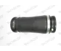 MONROE Vzduchov pruina podvozku MO ASP005, ASP005