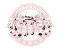 MASTER-SPORT GERMANY Rameno npravy zaven kol MSG 36790-SET-MS, 36790-SET-MS