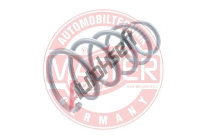MASTER-SPORT GERMANY Pruina podvozku MSG 4017000-PCS-MS, 4017000-PCS-MS