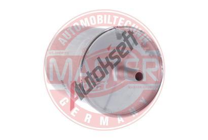 MASTER-SPORT GERMANY Palivov filtr MSG 6012-KF-PCS-MS, 6012-KF-PCS-MS