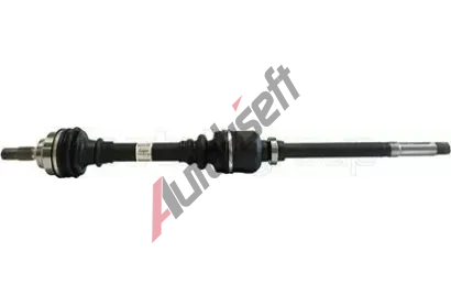 METELLI Hnac hdel MT 17-0079, 17-0079